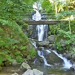 Hotel Waldblick Bsr Garten Mit Pavillons Im Schwarzwald, Ideal Fuer Paare, Familien, Hunde