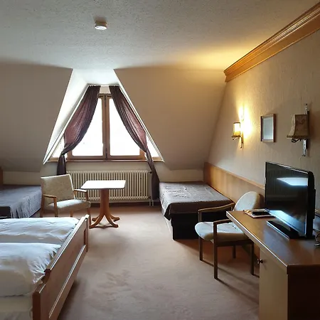 Waldblick Bsr Garten Mit Pavillons Im Schwarzwald, Ideal Fuer Paare, Familien, Hunde 3* Donaueschingen