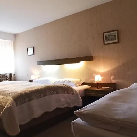 Hotel Hotel Waldblick Bsr Garten Mit Pavillons Im Schwarzwald, Ideal Fuer Paare, Familien, Hunde Donaueschingen
