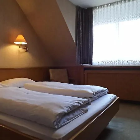 Waldblick Bsr Mit Kostenlose Bonuskarten Fuer Schifffahrten, Thermen, Museen Ab 2 Naechte Donaueschingen