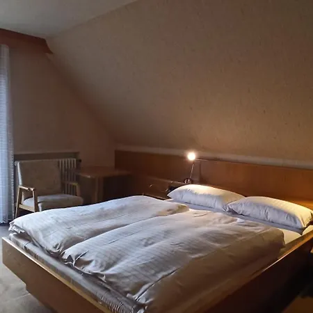 Hotel Waldblick Bsr Mit Kostenlose Bonuskarten Fuer Schifffahrten, Thermen, Museen Ab 2 Naechte Donaueschingen