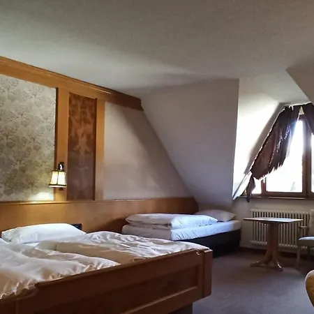 Waldblick Bsr Mit Kostenlose Bonuskarten Fuer Schifffahrten, Thermen, Museen Ab 2 Naechte Ξενοδοχείο Donaueschingen