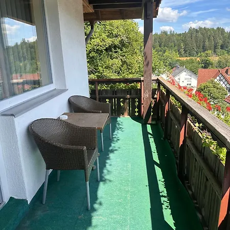 Waldblick Bsr Mit Kostenlose Bonuskarten Fuer Schifffahrten, Thermen, Museen Ab 2 Naechte Ξενοδοχείο Donaueschingen