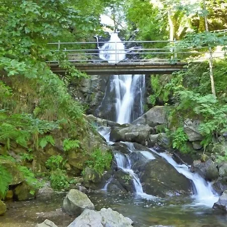 Hotel Hotel Waldblick Bsr Ihr Zwischenstopp Im Schwarzwald