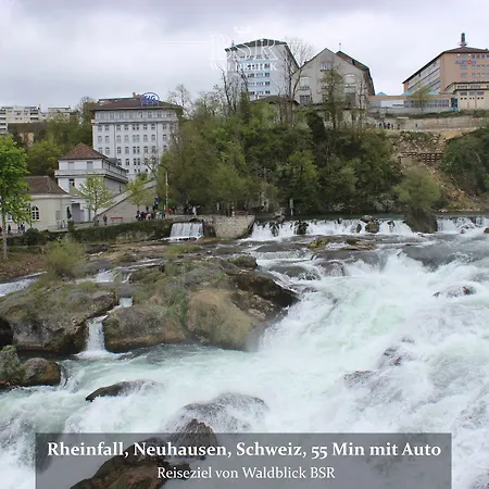 Waldblick Bsr Garten Mit Pavillons Im Schwarzwald, Ideal Fuer Paare, Familien, Hunde 3* Donaueschingen