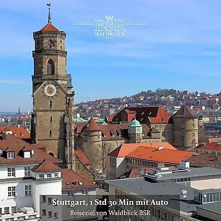 Hotel Waldblick Bsr Garten Mit Pavillons Im Schwarzwald, Ideal Fuer Paare, Familien, Hunde 3*