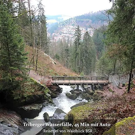 Waldblick Bsr Garten Mit Pavillons Im Schwarzwald, Ideal Fuer Paare, Familien, Hunde 3*