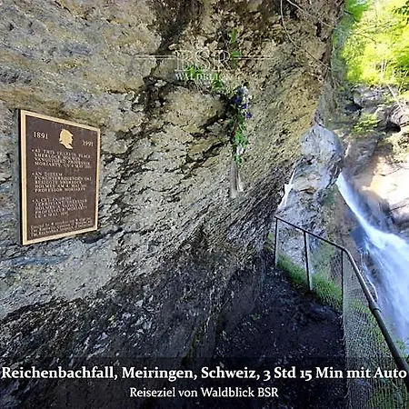 Waldblick Bsr Garten Mit Pavillons Im Schwarzwald, Ideal Fuer Paare, Familien, Hunde 3* Donaueschingen