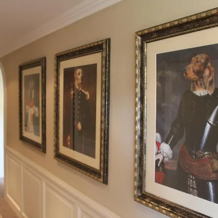 Ξενοδοχείο Waldblick Bsr Garten Mit Pavillons Im Schwarzwald, Ideal Fuer Paare, Familien, Hunde 3*