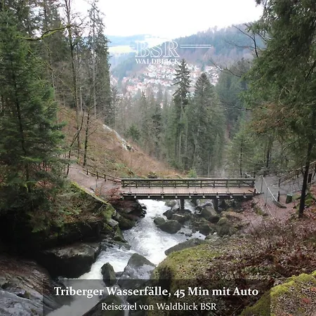 Waldblick Bsr Mit Kostenlose Bonuskarten Fuer Schifffahrten, Thermen, Museen Ab 2 Naechte Donaueschingen
