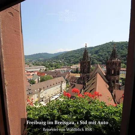 Hotel Waldblick Bsr Garten Mit Pavillons Im Schwarzwald, Ideal Fuer Paare, Familien, Hunde Hotel