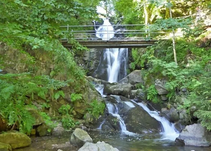 Hotel Waldblick Bsr Garten Mit Pavillons Im Schwarzwald, Ideal Fuer Paare, Familien, Hunde