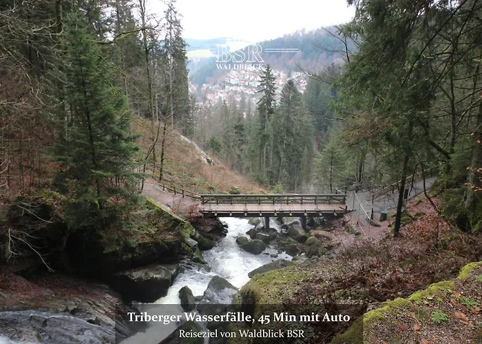 Waldblick Bsr Garten Mit Pavillons Im Schwarzwald, Ideal Fuer Paare, Familien, Hunde Donaueschingen